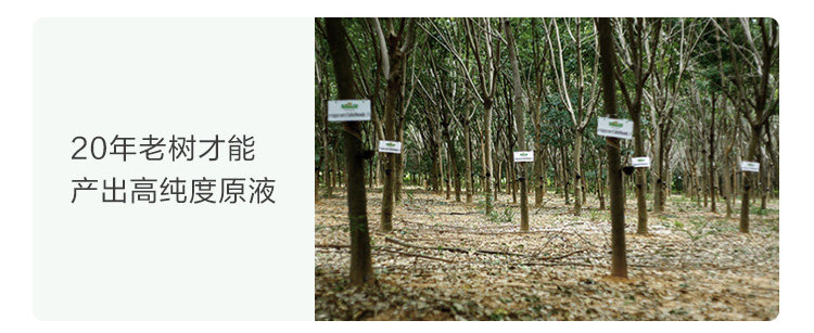 CD064A Групповой продюк.