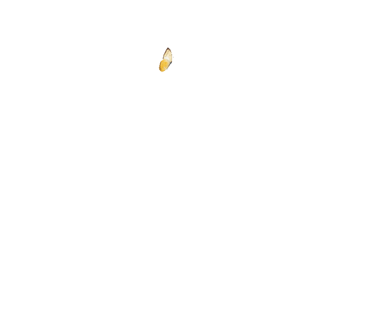 茶几版头.gif