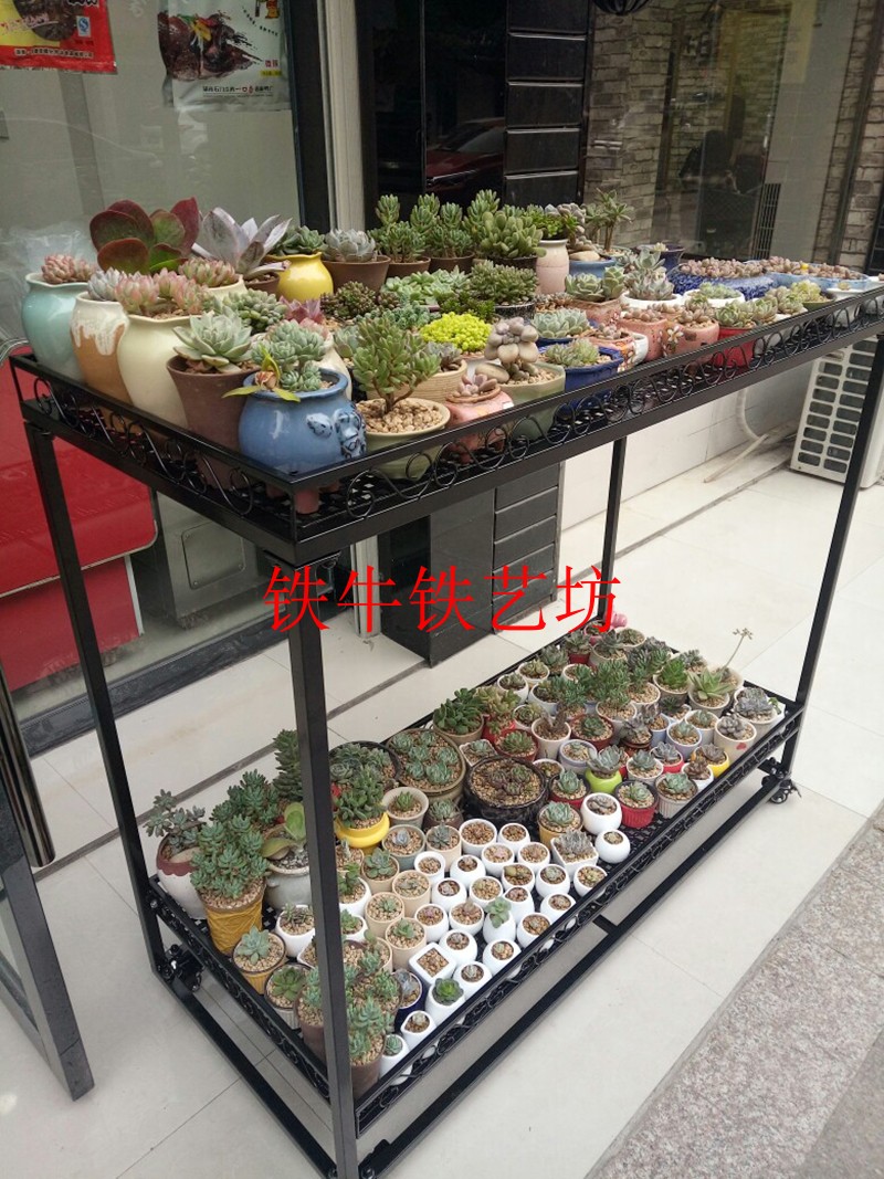 Ban công phòng khách hành lang sân trong nhà có thể tháo rời hoa đứng giàn giáo chống nắng mưa chống đông chống côn trùng vành đai ròng rọc - Kệ kệ sách đứng đẹp