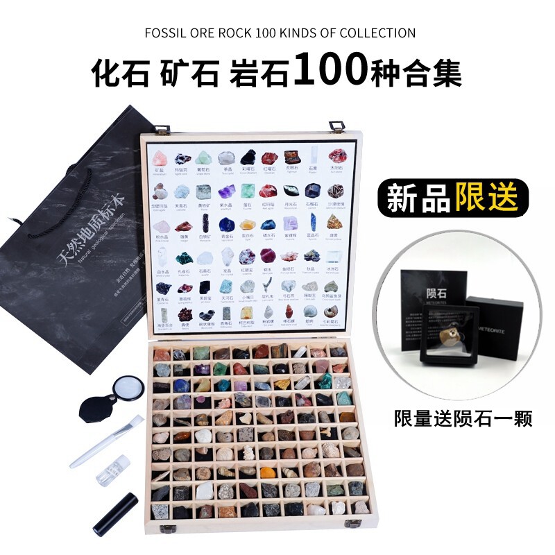 Natural paleontological fossil ore rock crystal mineral stone raw stone children's popular science gift teaching specimen