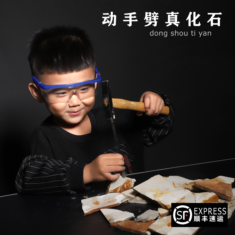 Natural paleontology Wolf fin fish fossils Do-it-yourself fossils fossils Trilobites Archaeological fossil excavation teaching specimens