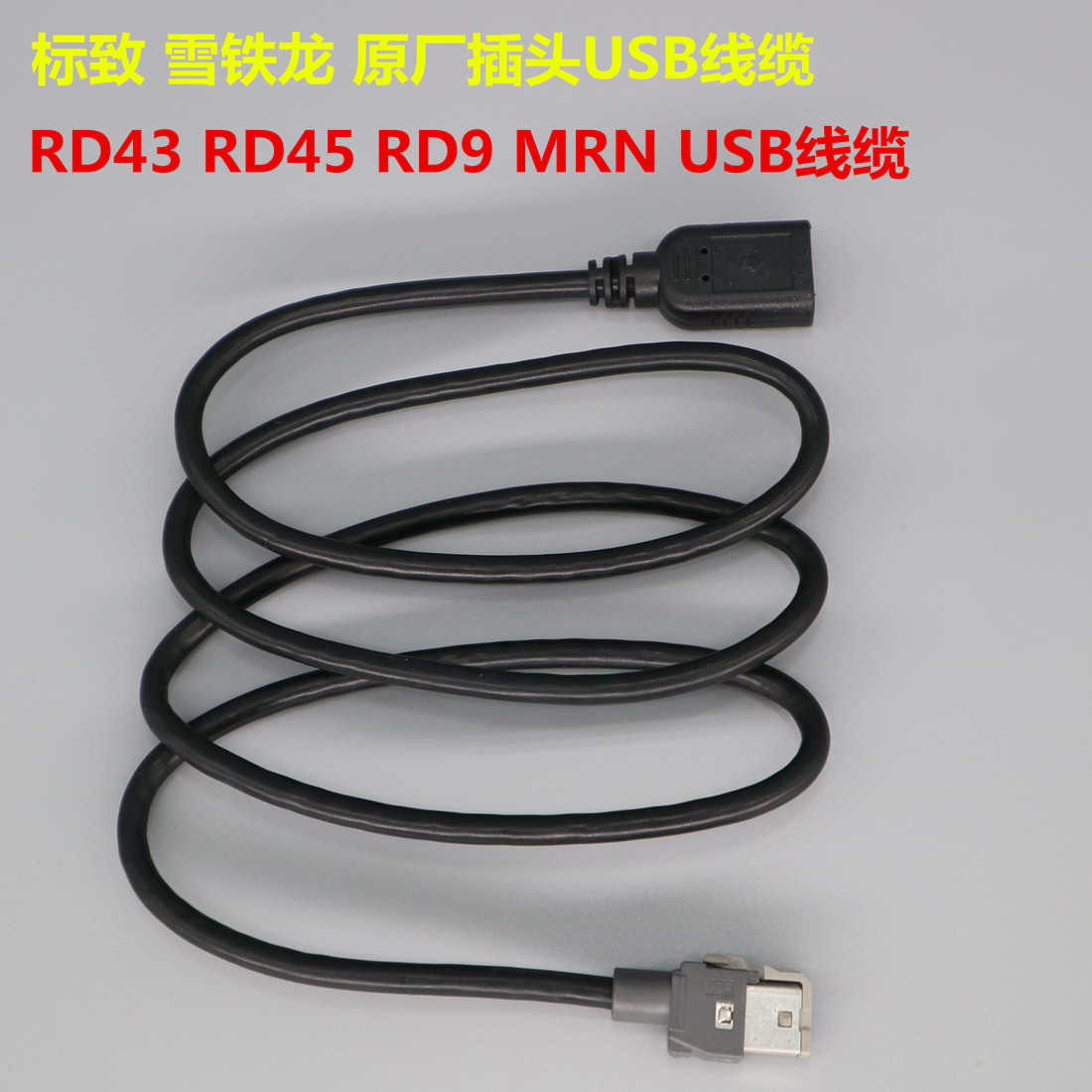 Peugeot Sega 307 New Elysee 301 308 RD45 RD9 Pentium B50 CD USB cable