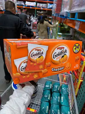 Canada Direct Mail Extraordinary Farm Cheese Small Fish Biscuits No Artificial Add Calcium Supplementation Iron 24 Small Pack 1 03kg