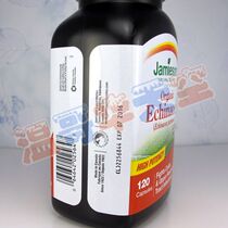 Canada Direct Mail Bodybuilding Echinacea Echinacea Organic Herbal Essence 120 Capsules