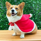 Одежда для домашних собак осень и зимние рождественские новогодние аксессуары маленькие и средние собаки, Шерина Корки Шиба Ину, сеть красная одежда