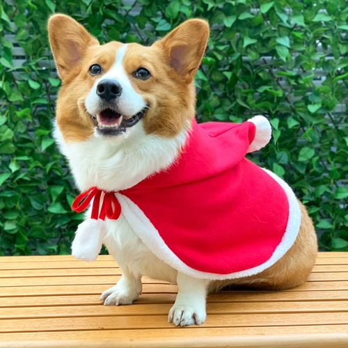 Одежда для домашних собак осень и зимние рождественские новогодние аксессуары маленькие и средние собаки, Шерина Корки Шиба Ину, сеть красная одежда