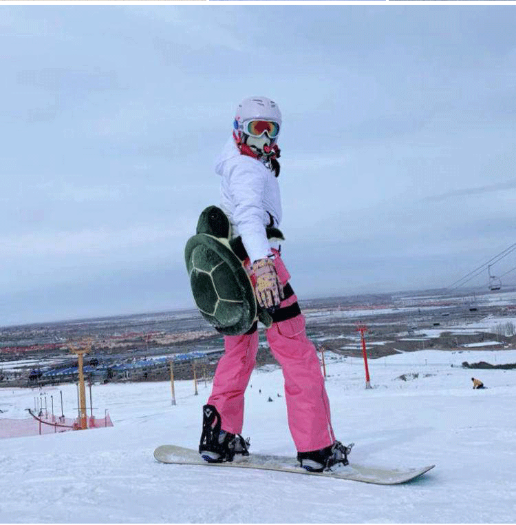 Введение карта -1_04.gif