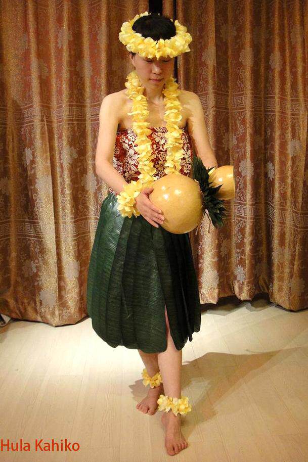 Hawaiian Grass Skirt Dance Suit Grass Skirt Dance Performance Suit Adult Performance Suit Show Costume Hula Kahiko