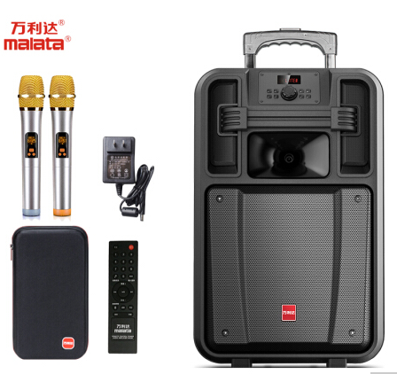 Vanlida Carpenter JJ8 J12 J15 J18 Lalever Sound Dance Room Square Dance Battery Speaker