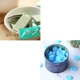 Double Mint Chocolate 1+ Floren Scorpio Sugar 1