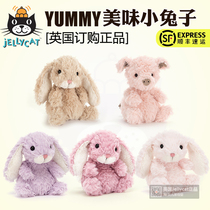  British Jellycat Yummy delicious Bunny Bunny Rabbit childrens plush soothing soft toy piggy doll