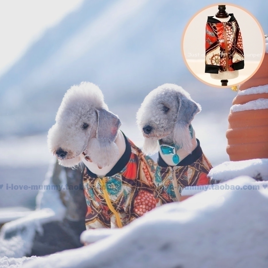 Treasure Pets Dogs Clothes Retro Silk Quality Sweatshirt Jacket Jacket National Style Baseball Suit Teddy Snownery-Taobao