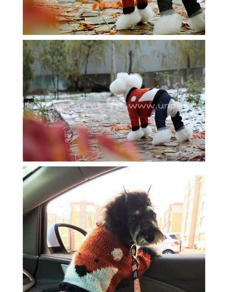 Unpet Breguet Quần áo cho thú cưng Little Princes Fox Sweater Tuyệt vời handmade dễ thương quần áo ấm cho chó - Quần áo & phụ kiện thú cưng áo con chó
