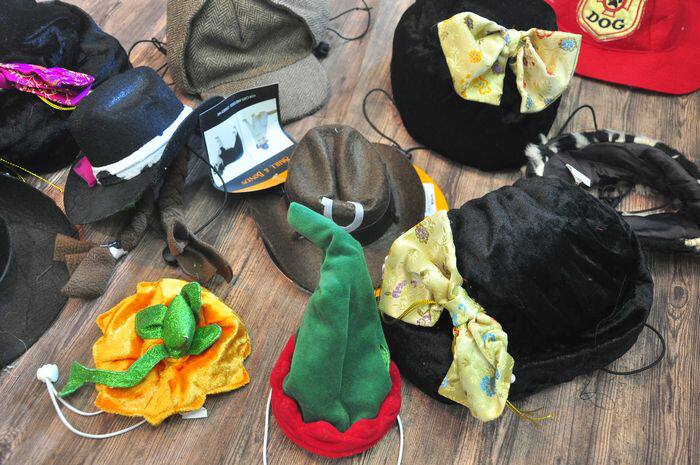 Outer single sample blemish headgear cowboy hat Viking hat pet decoration hat dog cat decoration