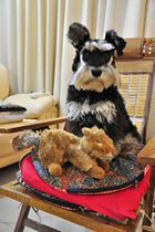 US single strong goods recommend simulation bite-resistant squirrel dog sound pet plush toy 0005