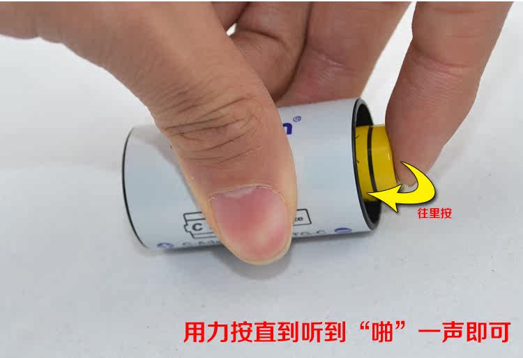 Lion King Digital Lion Battery Converter -003