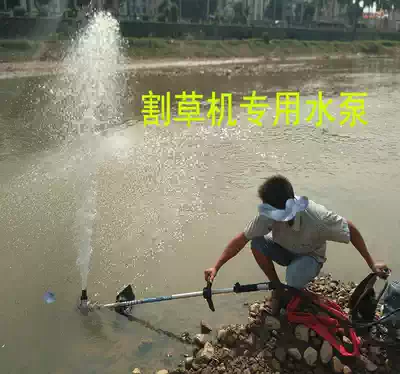 Lawn mower water pressure head four-punch two-punch back negative side hanging special household water pump micro-small pump