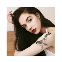 Pattern whale ins Wind hipster disposable tattoo stickers waterproof men and women lasting simulation European and American wind