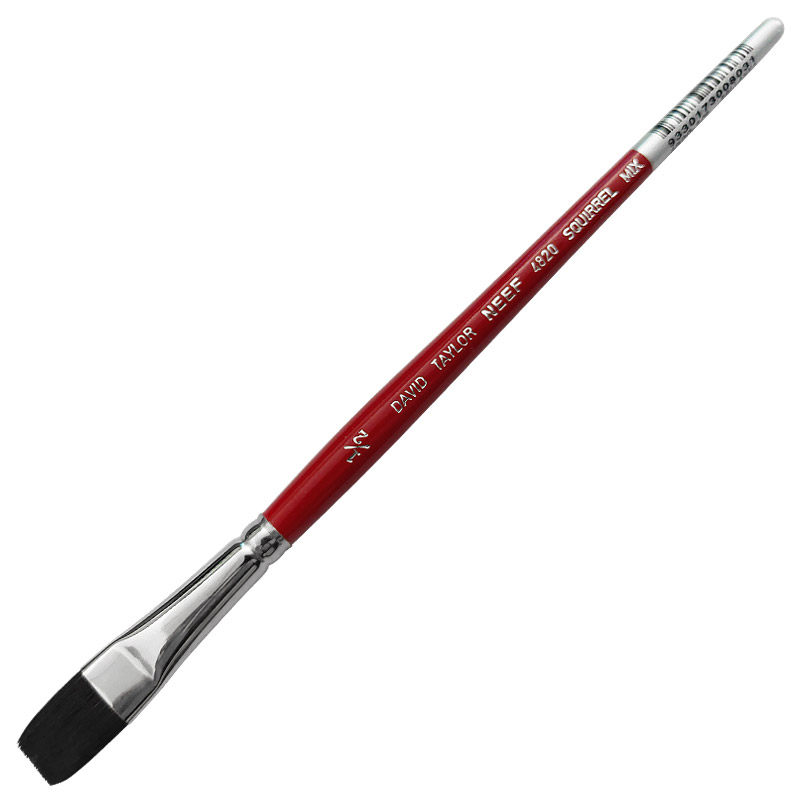 Australian NEEF squirrel hair mix hair red fat flat head flat head