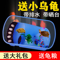 Fish Xu Turtle Vat Special Feeding Box Large Household Turtle Tank Eco Cylinder Send Turtle Living Things A Landscape Sundae