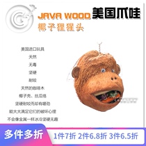 American Java JAVA WOOD Coconut Monkey Coco Monkey Parrot Calcium supplement foraging toy CG