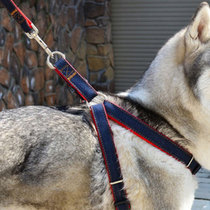 Pooch Chest Back Gold Wool Teddy Labrador Dog Chain Small Large Canine Dog Rope Pet Supplies Walking Dog Traction Rope