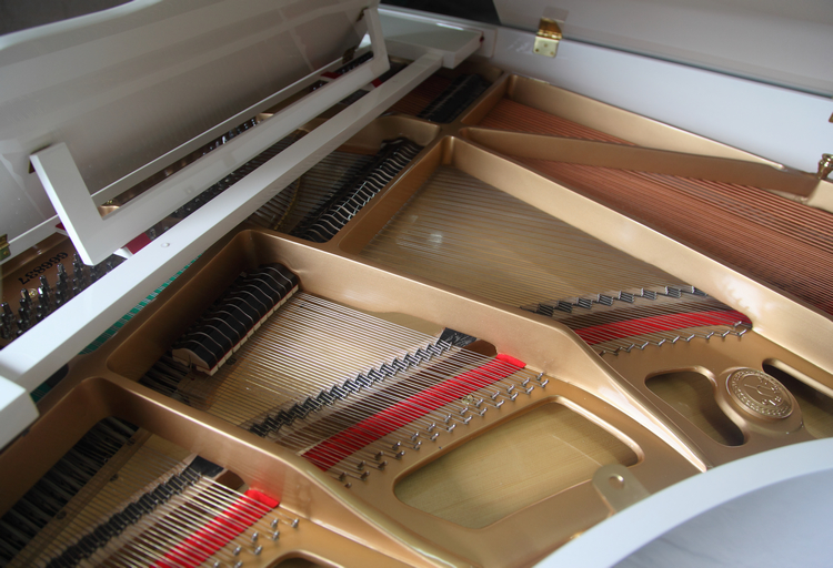 Phong cách thanh lịch 231 grand piano ngang piano! Nhà máy sản xuất đàn piano mười năm tuổi là đáng tin cậy đàn piano casio