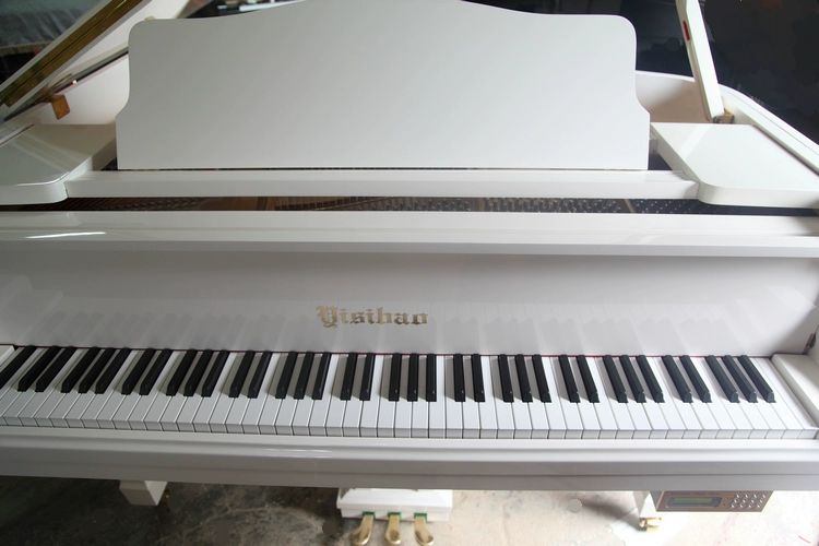 Phong cách thanh lịch 231 grand piano ngang piano! Nhà máy sản xuất đàn piano mười năm tuổi là đáng tin cậy piano dien