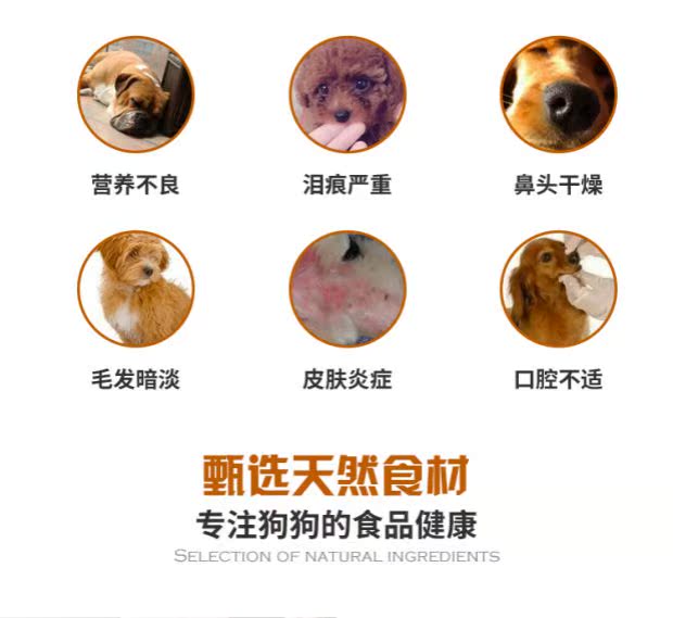 Ưu đãi đặc biệt Chó con vàng thức ăn cho chó 500g số lượng lớn Teddy Bear Labrador Spirulina + Lecithin + Cá biển sâu smartheart puppy
