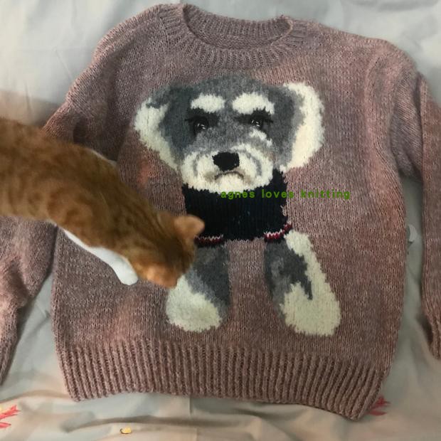 Pet Portrait Hand Woven Sweater by Agnes