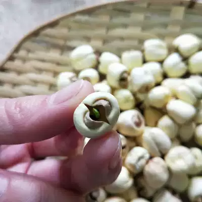 Jianlian lotus seed Fujian 250g*2 bags Jianning white lotus seed with heart Self-produced sulfur-free Jianlian rice fragrant waxy Qingxin