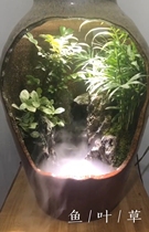 Ceramic tank water and land tank Water tank Plant rockery landscape Net Red micro landscape Ceramic water and land tank full set of customization
