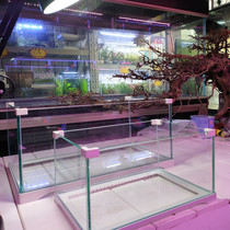 Low tank glass bucket fish tank Household with sun table villa feeding box Large turtle special tank Ecological fish tank basin