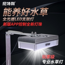 Nittelley LED Nittelley magic lamp Downlight Bracket lamp Full spectrum grass cylinder lamp Aquatic plant lamp lighting Algae cylinder clip lamp