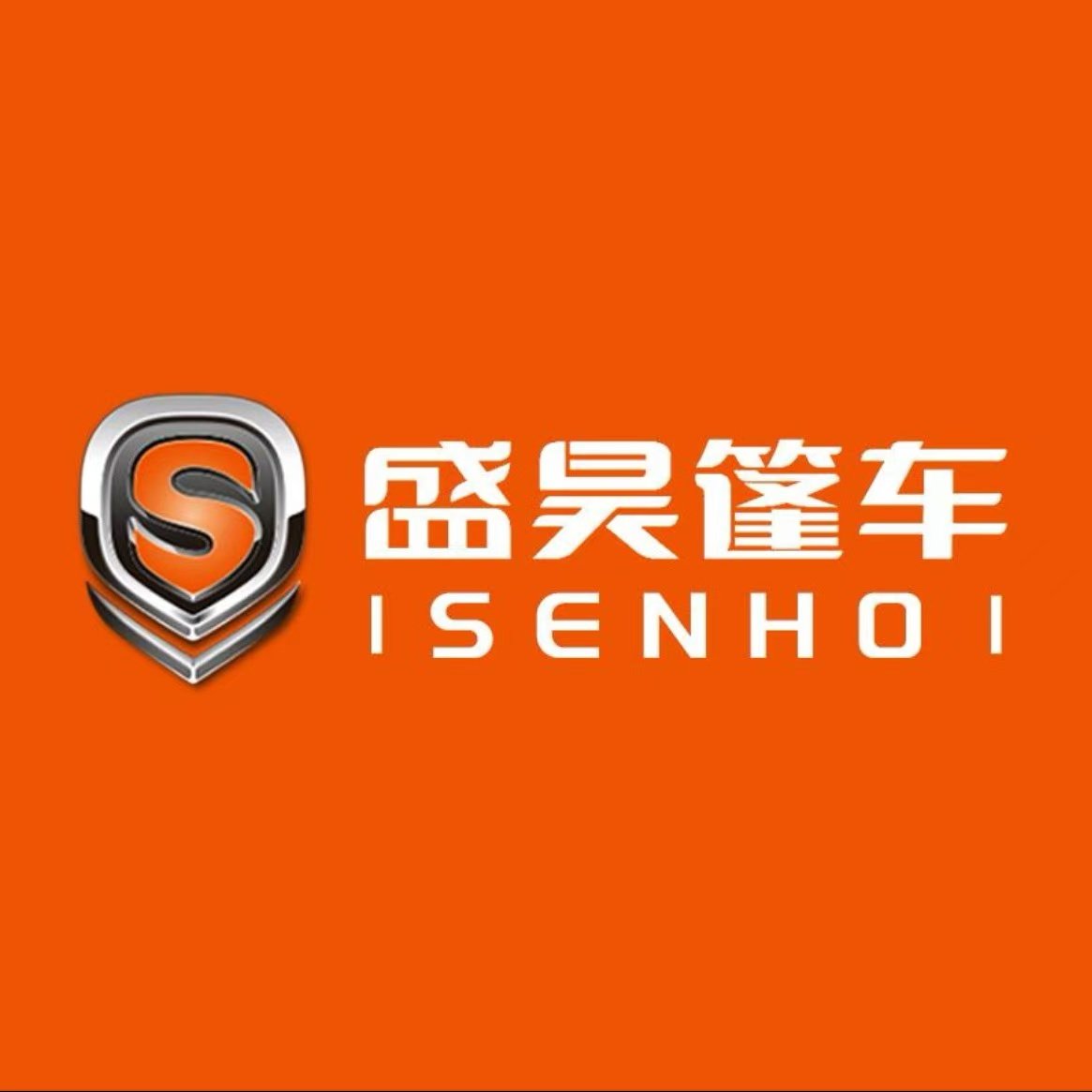 盛昊电动车的LOGO