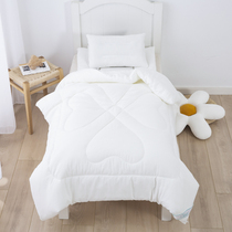 Washed cotton childrens cotton quilt core Kindergarten autumn and winter thick quilt Student quilt single bed cotton mother quilt