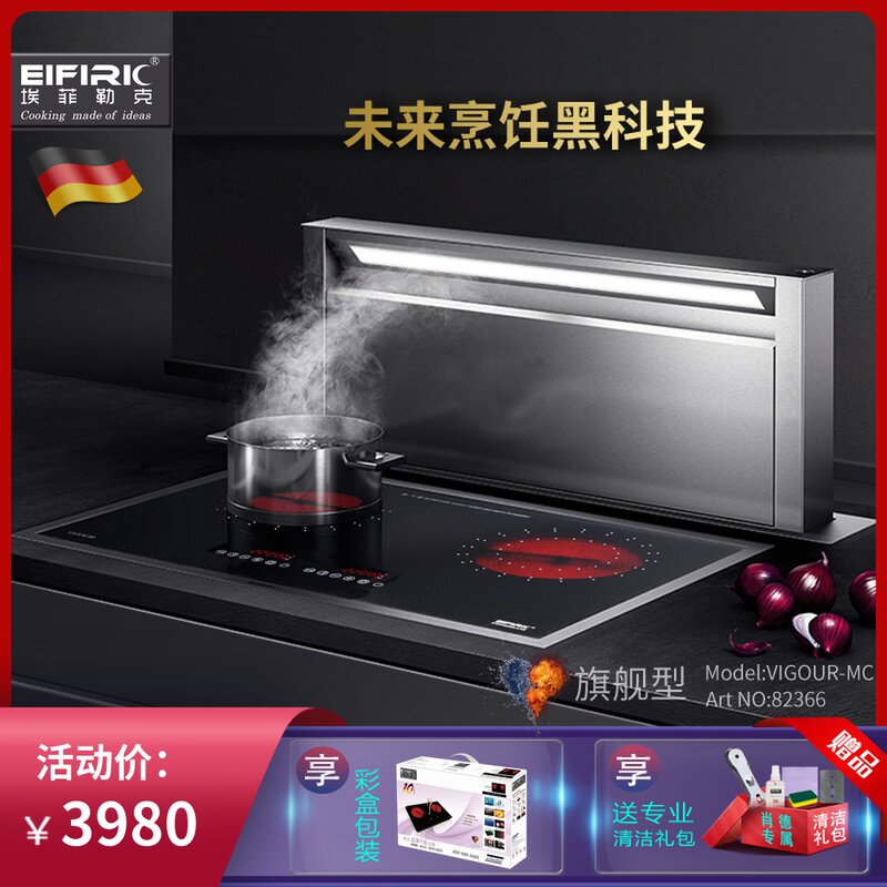 EIFIRIC EIFILIC imported Schott Germany EGO embedded double-head electric ceramic stove silent fanless electric stove