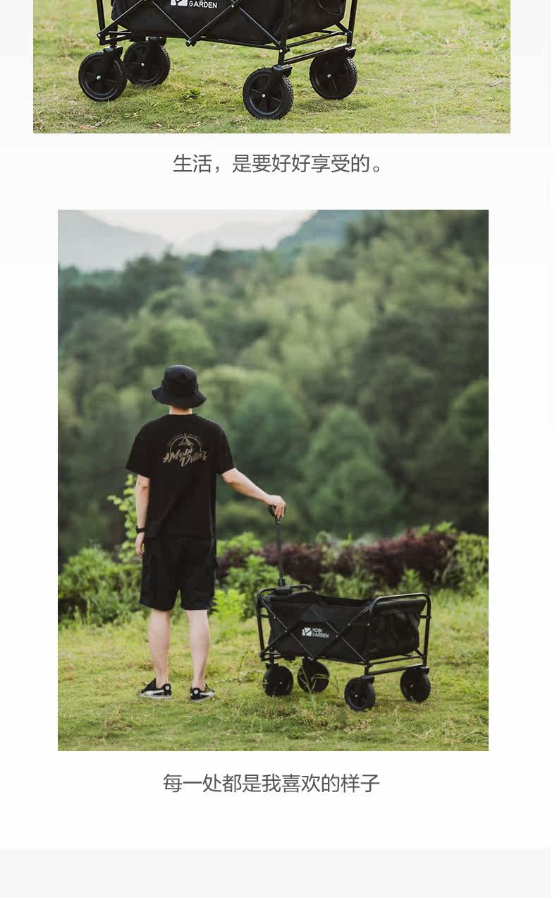 Маленькая CART_03.JPG