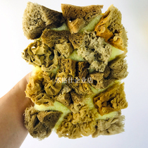 Natural Seaweed Cotton Art Lacquer Tool Printed Big Flower Pattern Thinning Seaweed Cotton Pat Tricolor Pearly Seaweed Pat