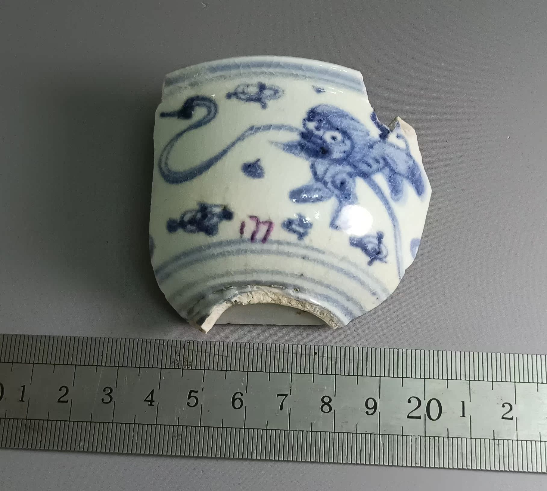 177 Ming Dynasty lion pattern porcelain specimen