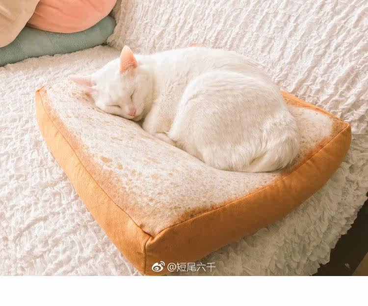 Peluche manga jardin Cat - Ref 2697763 Image 5