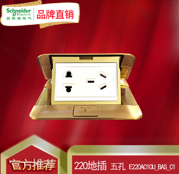 Schneider socket ground socket five-pin two-three-pole power plug E220AC10U_BAS_C1