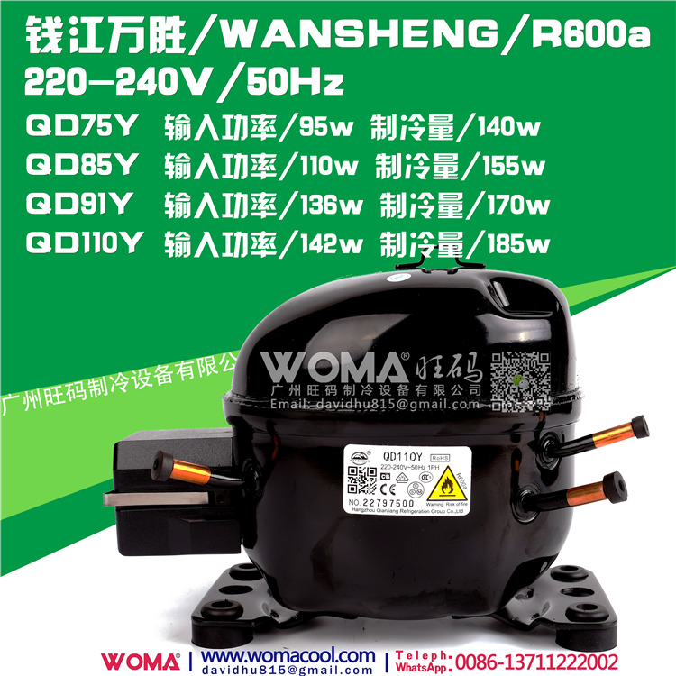 New WANSHENG Qianjiang Wansheng QD75Y QD85Y QD91Y QD110Y fluorine-free R600A compressor