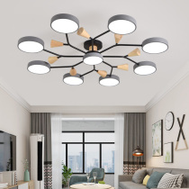 Nordic living room led ceiling lighting Simple modern dining room room Master bedroom atmospheric net red household lamps