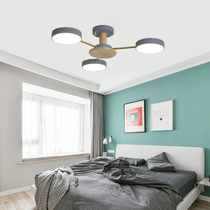 Minimalist Nordic living room chandelier Macaron Creative art hall led lighting Simple dining room Wood ceiling lamp