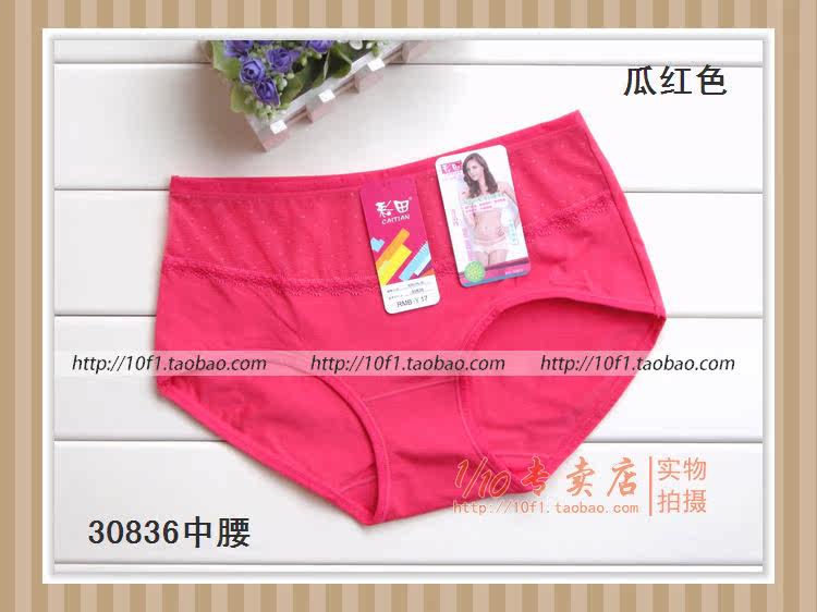 Slip 836_837 en coton - Ref 641208 Image 35