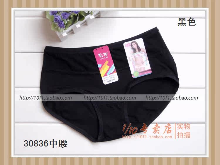 Slip 836_837 en coton - Ref 641208 Image 36