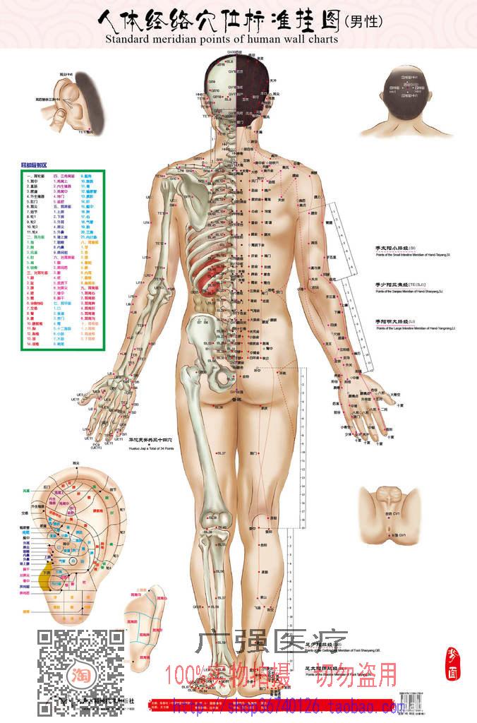 Acupuncture Meridian Chart