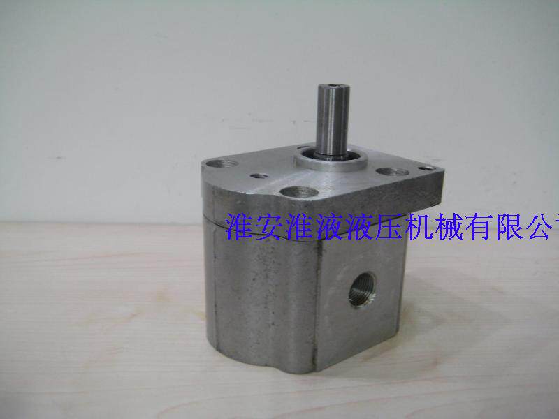 CBS-E314-CLP Bidirectional Gear Pump