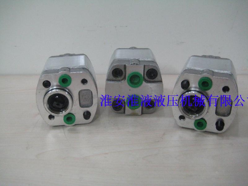 CBK-H216 two-way gear pump for CBK-H216 226232248258 and so on